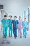 Drakor Hospital Playlist (2020) Sub Indo