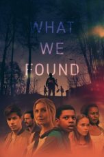 What We Found (2020)