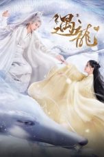 Nonton Drama China Miss the Dragon (2021) Sub Indo